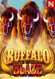 Buffalo Blaze