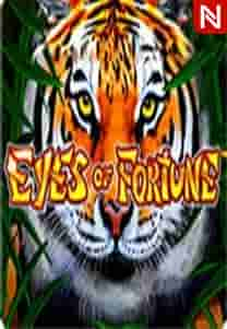 Eyes of Fortune